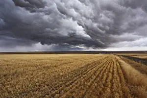 Montana Thunderstorm Imprime: Thunderclouds above fields after harvesting