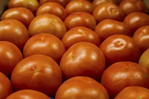 Red Tomatoes Imprime: Tomatoes