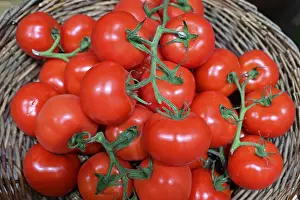 Fruit Vegetable Photography Imprime: Tomatoes