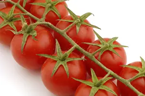 Red Vegetable Imprime: Tomatoes