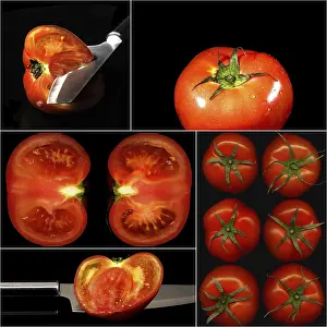 Tomato Collage Imprime: Tomatoes collage composition nested on a black square frame