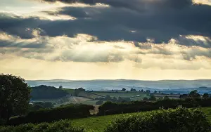 Setting Sun Landscape Imprime: Torquay Fields in the rays of the setting sun