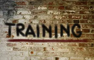 Professional Learning Imprime: Training Concept