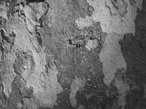 Central Europe Background Image Imprime: Tree bark as background, abstract structure