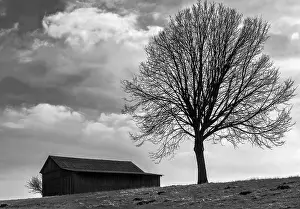 Atmospheric Light Scene Imprime: The tree by the barn