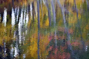 Autumn Leaves Reflection Imprime: Trees reflected in water surface
