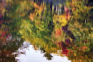 US American Fall Scenery Imprime: Trees reflected in water surface
