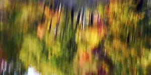 Autumn Leaves Reflection Imprime: Trees reflected in water surface