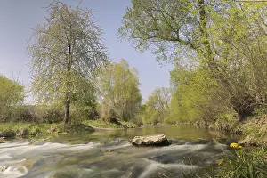 Springtime In Europe Imprime: Triesting river in spring, Triestingtal valley