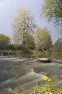 Lower Austria Scenery Imprime: Triesting river in spring, Triestingtal valley