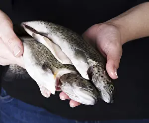 Bony Fish Habitat Imprime: Trouts