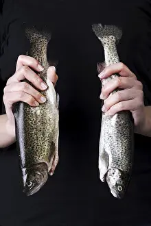 Bony Fish Habitat Imprime: Trouts