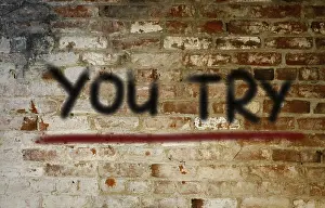 Conceptual Photo Imprime: You Try Concept