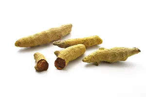 Impresiones de Curcuma longa Longa Imprime: Curcuma longa.