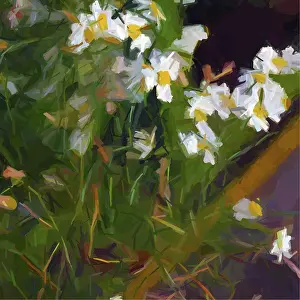 Vintage Floral Artwork Imprime: Vector daisies composition, abstract vector art