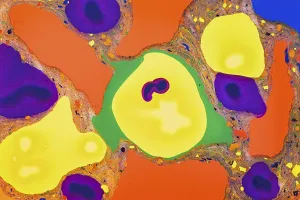 Vibrant Colors Imprime: A vibrant array of mixed colors