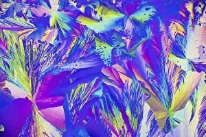 Geometric Shapes Imprime: A vibrant microcrystals under the microscope