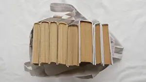 Deserted Library Scene Imprime: Top view books stack bag