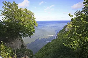 Chalk Cliffs Germany Imprime: View onto the chalk cliffs with beech forest