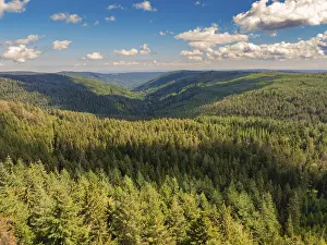 Black Forest Landscape Photography Imprime: A view down into a deep valley