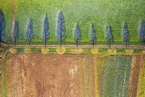 Top Down View From Drone Imprime: Top Down view from a drone over Fields