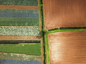 Devon Drone Images Imprime: Top down view over fields from a drone