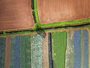 View From Above Devon England Imprime: Top down view over fields from a drone