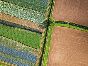 Agricultural Drone Images Imprime: Top down view over fields from a drone