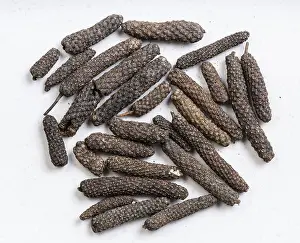 Gray Ceramic Plate Imprime: Top view of java long pepper close up on gray ceramic plate