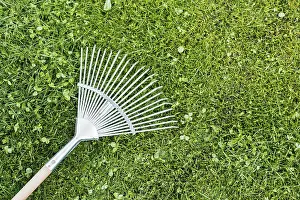 View From Above Farmyard Imprime: Top view rake grass