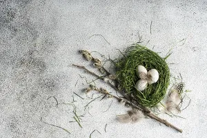 Easter Setting Imprime: Top view of a rustic Easter setting featuring a nest made of fresh green grass