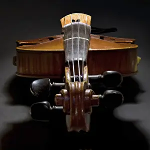 Musical Instrument Photography Imprime: Violin