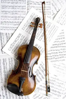 String Instrument Imprime: Violin