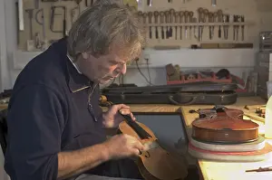 Musical Instrument Maker Imprime: Violin-maker is reparing a violin