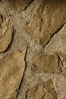 Grunge Wall Texture Imprime: Wall surface as a simple grunge background texture pattern