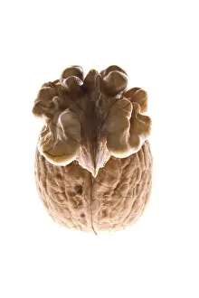 Walnut Nutrition Imprime: Walnuts