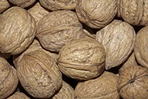 Walnut Background Imprime: Walnuts