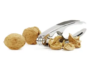 Healthy Breakfast Meal Ideas Imprime: Walnuts with cracker on the white