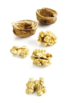 Fresh Walnuts Imprime: Walnuts and shells