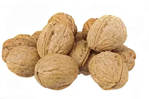 White Background Walnuts Imprime: Walnuts on white background