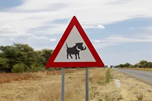Warthog Imprime: Señal de advertencia Cuidado con jabalíes, Namibia.