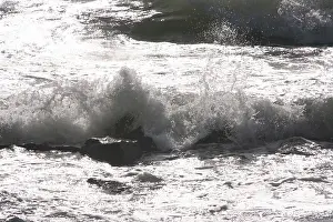 Baltic Sea Waves Imprime: Wave