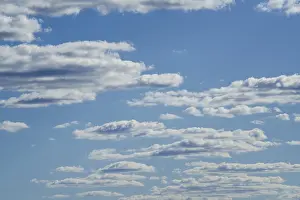 White Clouds In Blue Sky Imprime: White clouds float in the blue sky backdrop