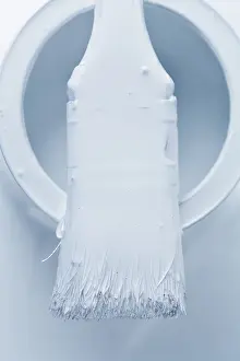 Manual Labor Craftsman Imprime: White painter