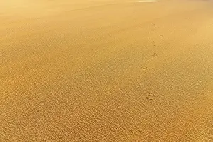 Icelandic Coastal Scenes Imprime: Wind blowing over structures in the sand
