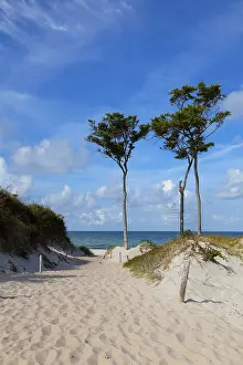 Baltic Sea Landscape Imprime: Windfighter