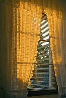Interior Design Inspiration Imprime: Window in the evening light