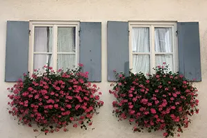 Daytime Architecture Photography Imprime: Windows with flower boxes