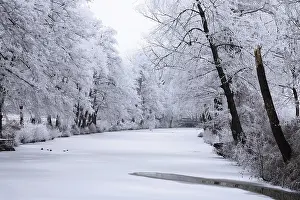 Hoarfrost Germany Imprime: Winter
