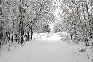 Snowy Countryside Imprime: Winter